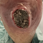 Can't Feel a Thing Can't Feel a Thing