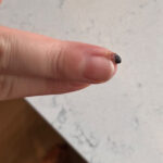 BB45F86E-56C6-4C53-AA16-55A890173C59