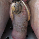 Screen Shot 2024-02-02 at 8.04.18 PM