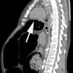 Screenshot 2025-12-08 at 1.25.29 PM